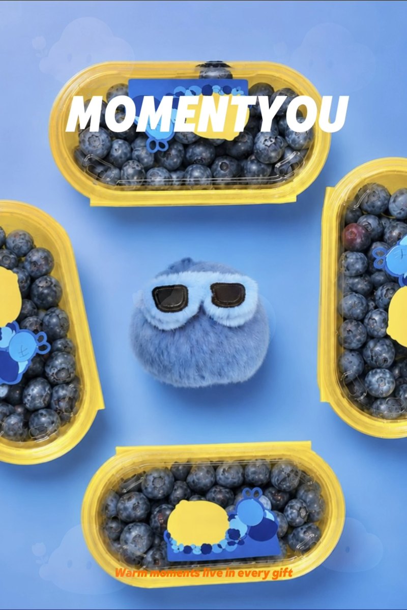 MomentYou blueberry poster